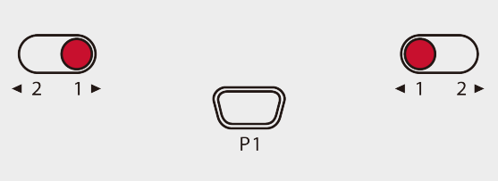 Hold P1 for 5 seconds. The Power LED will slowly ash and turn solid when complete