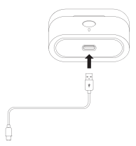 Connecting the Cirro Buds Pro Charging Case